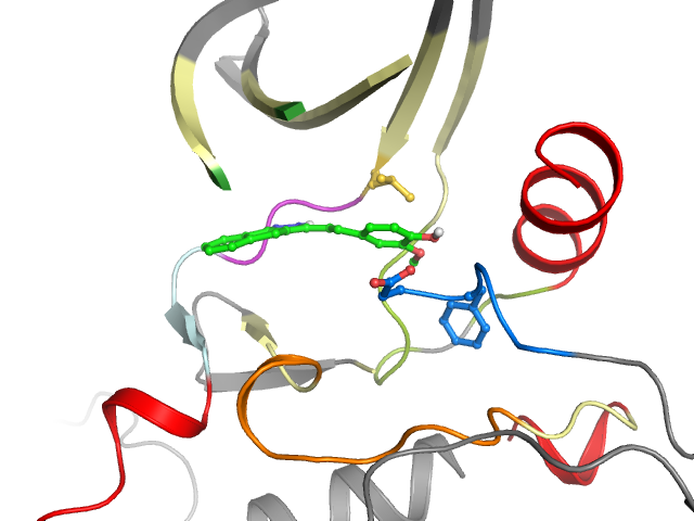 The orthosteric binding pocket