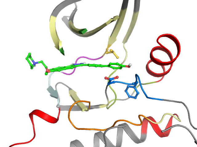 The orthosteric binding pocket