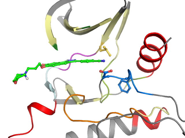 The orthosteric binding pocket