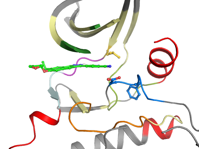 The orthosteric binding pocket