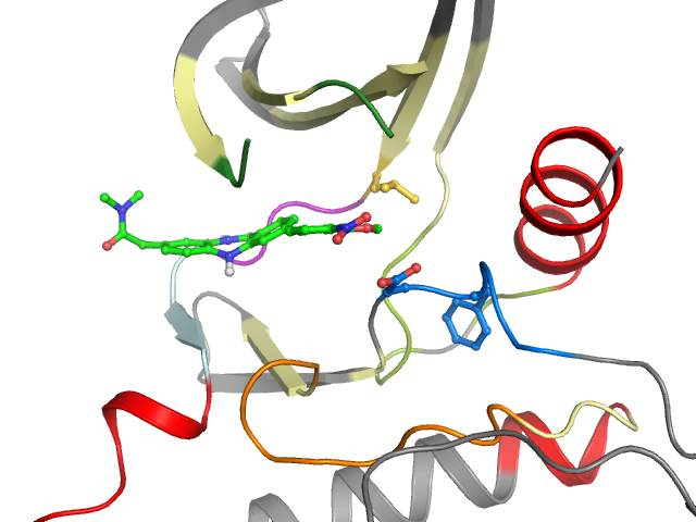 The orthosteric binding pocket