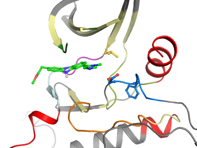 The orthosteric binding pocket