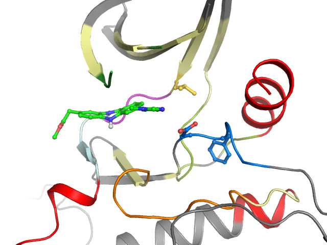 The orthosteric binding pocket