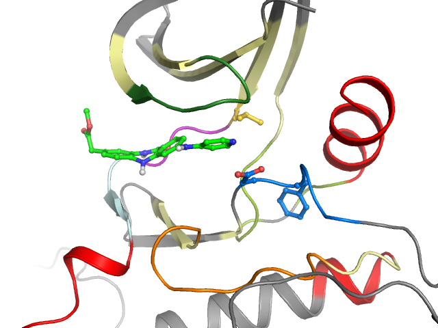 The orthosteric binding pocket