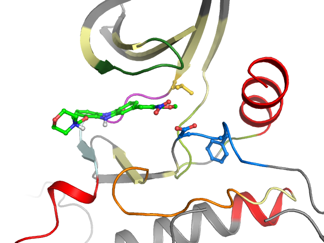 The orthosteric binding pocket