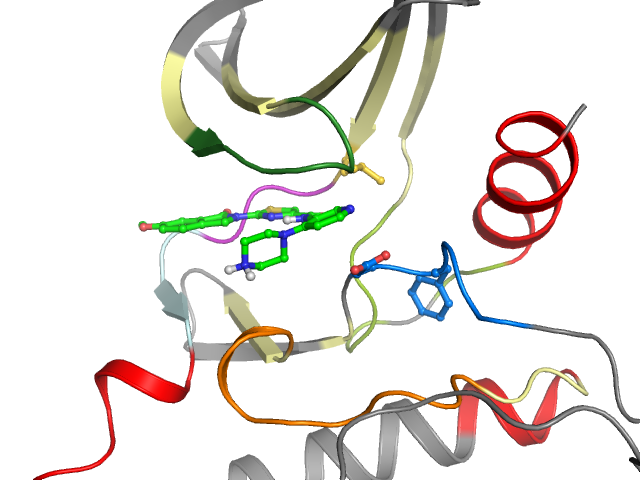 The orthosteric binding pocket