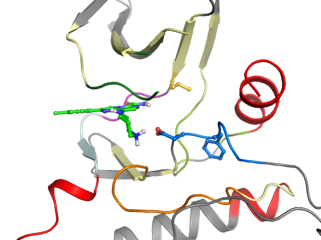The orthosteric binding pocket
