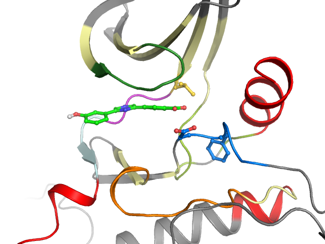 The orthosteric binding pocket