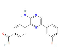 2D structure of the orthosteric ligand