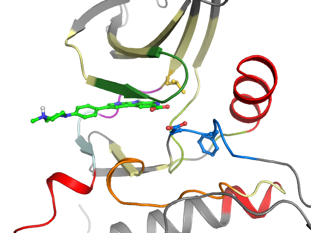 The orthosteric binding pocket