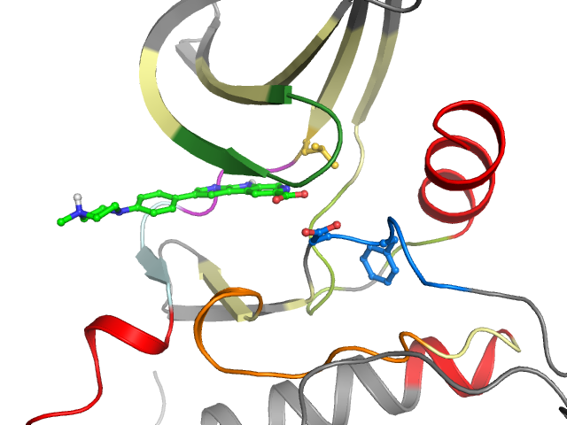 The orthosteric binding pocket