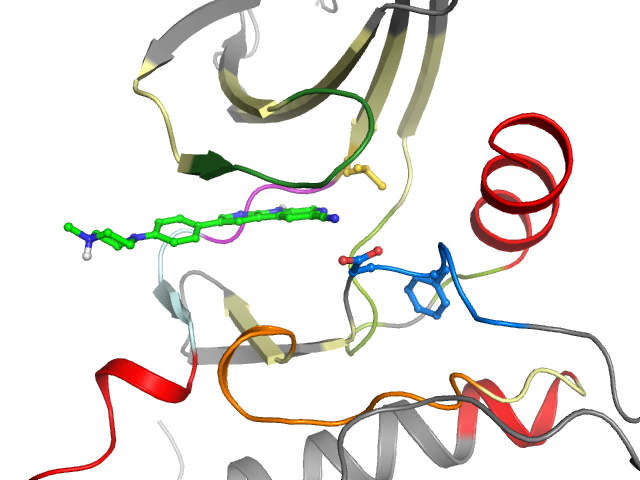 The orthosteric binding pocket