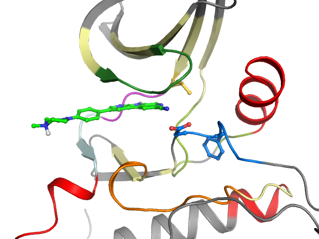 The orthosteric binding pocket