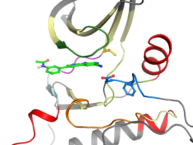 The orthosteric binding pocket