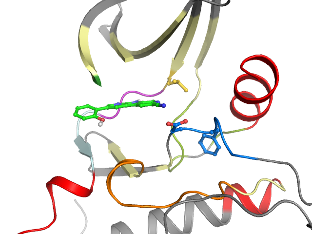 The orthosteric binding pocket