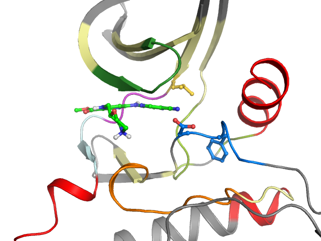 The orthosteric binding pocket