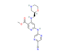 2D structure of the orthosteric ligand