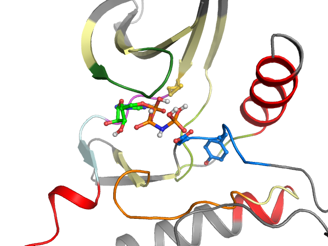 The orthosteric binding pocket