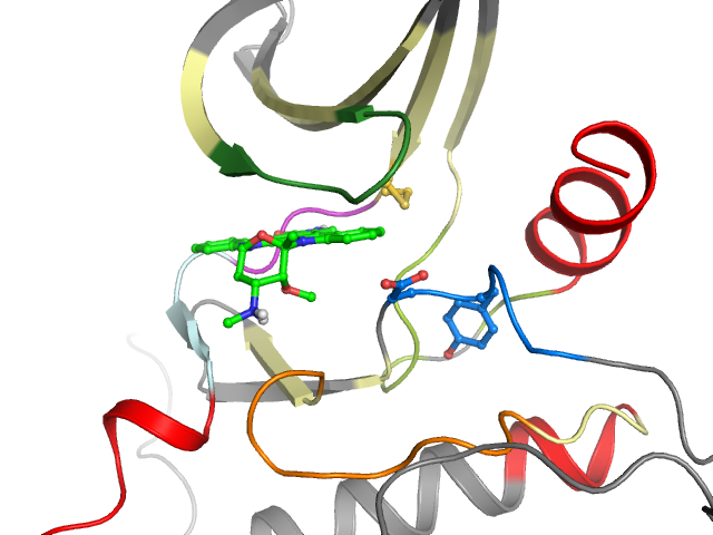 The orthosteric binding pocket