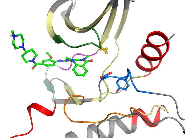 The orthosteric binding pocket