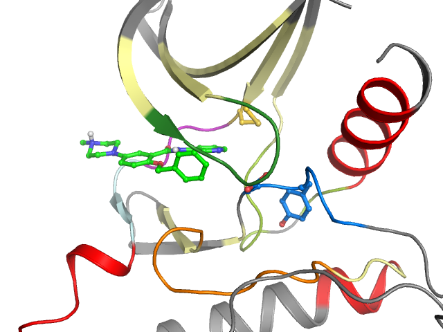 The orthosteric binding pocket