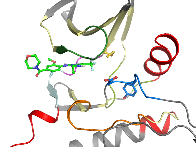 The orthosteric binding pocket