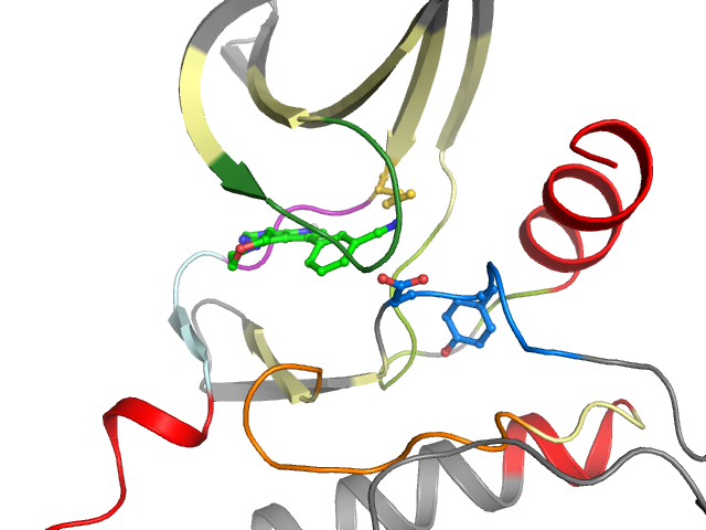 The orthosteric binding pocket