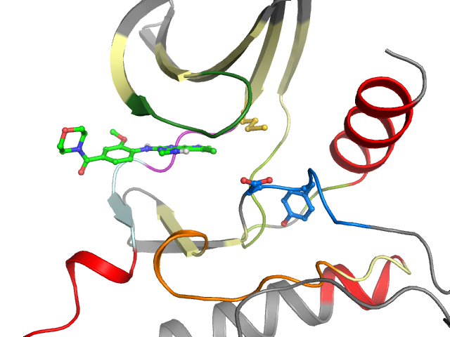 The orthosteric binding pocket