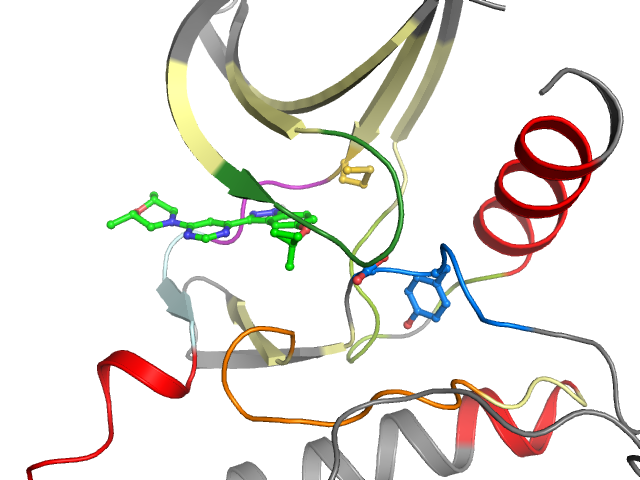 The orthosteric binding pocket