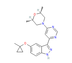 2D structure of the orthosteric ligand