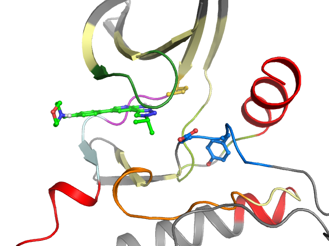 The orthosteric binding pocket