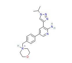 2D structure of the orthosteric ligand