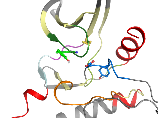 The orthosteric binding pocket