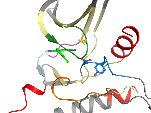 The orthosteric binding pocket