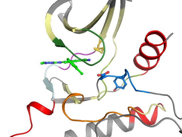 The orthosteric binding pocket