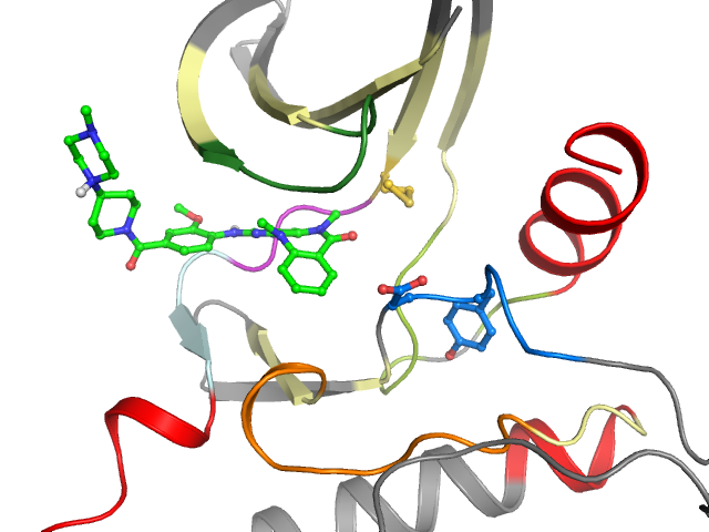 The orthosteric binding pocket