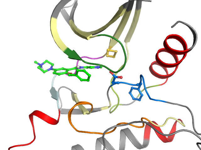 The orthosteric binding pocket