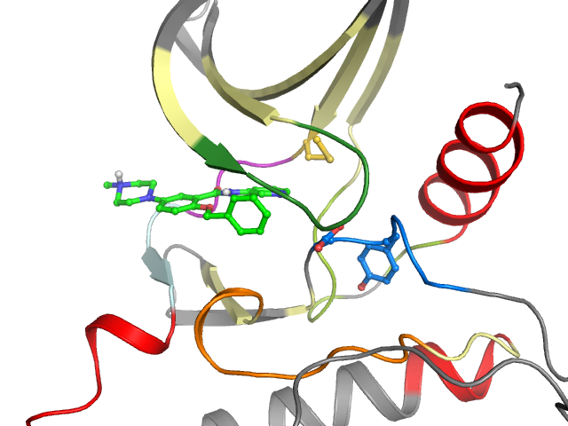 The orthosteric binding pocket