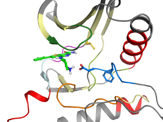 The orthosteric binding pocket