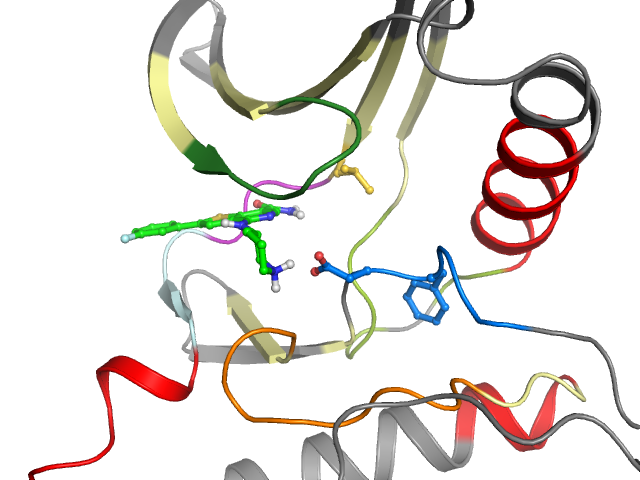 The orthosteric binding pocket