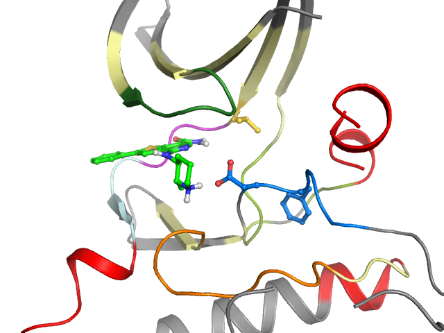 The orthosteric binding pocket