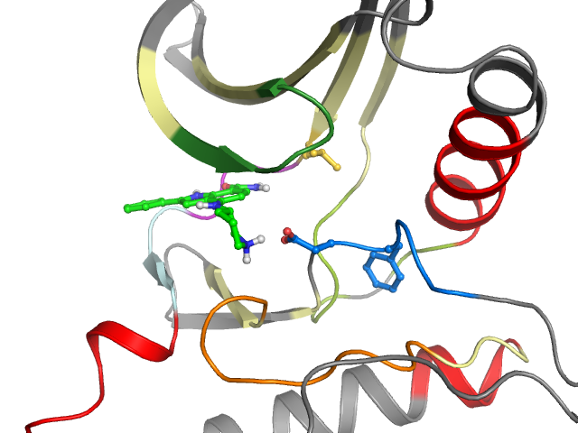 The orthosteric binding pocket