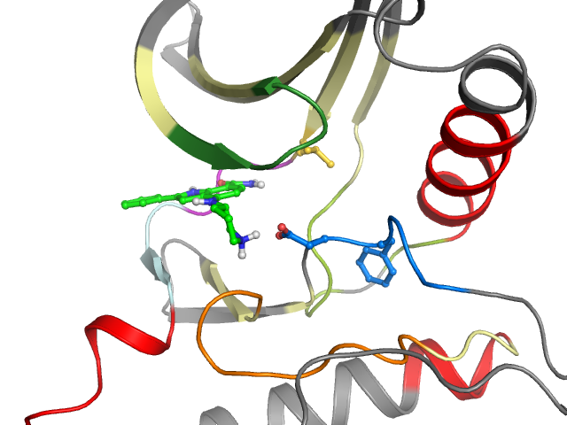 The orthosteric binding pocket