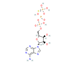 2D structure of the orthosteric ligand