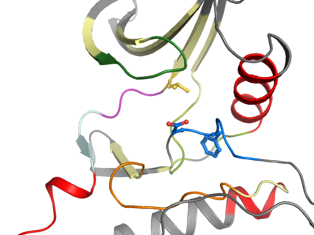 The orthosteric binding pocket