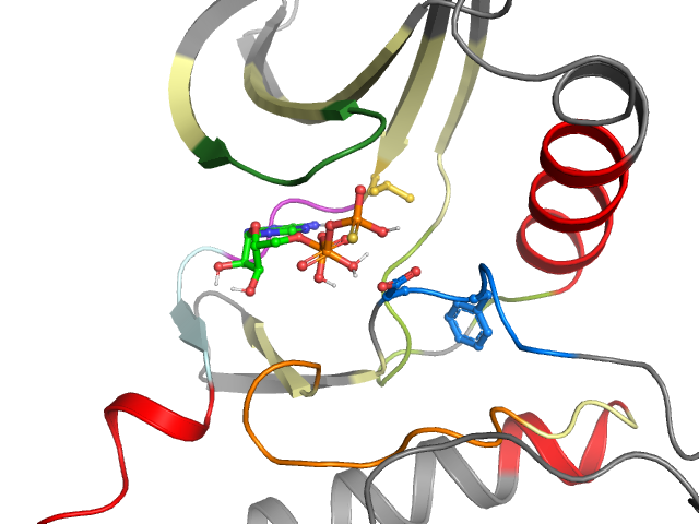 The orthosteric binding pocket