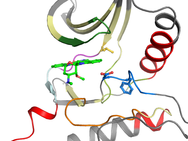 The orthosteric binding pocket