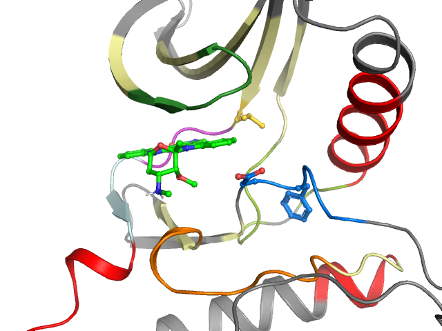 The orthosteric binding pocket