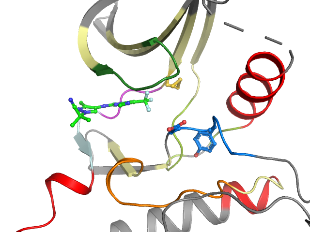 The orthosteric binding pocket