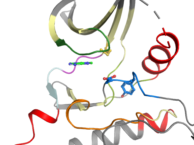 The orthosteric binding pocket